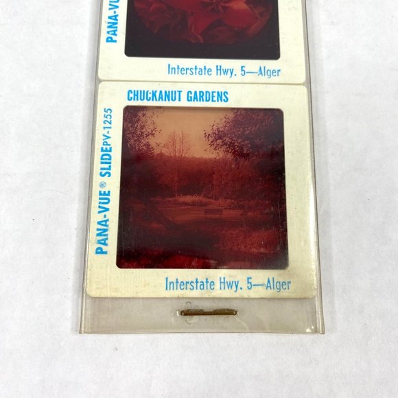 Vintage GAF Pana-Vue Slides Chuckanut Gardens Alger Washington Lot of 5 PV125 - Picture 7 of 10